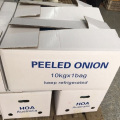 Fresh Peeled Onion with good quality